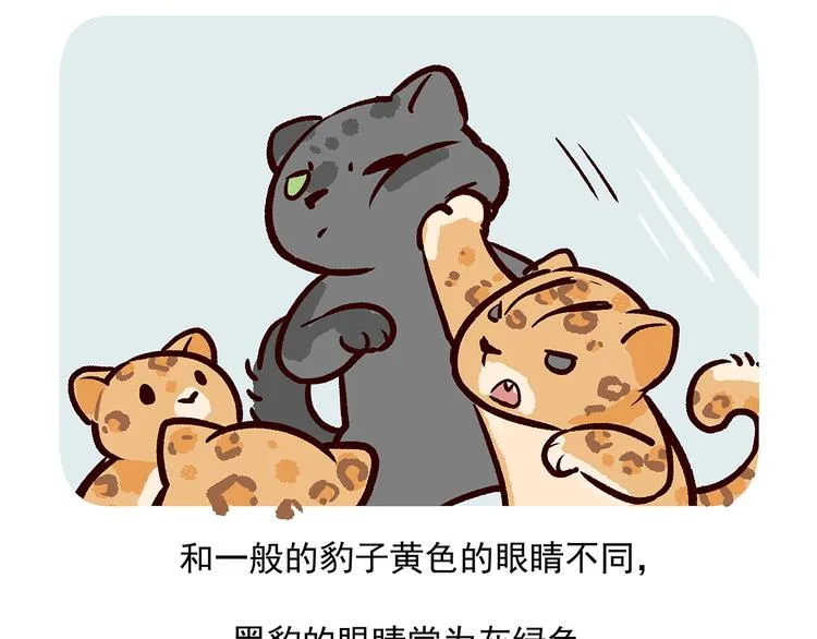 第35话 第31页
