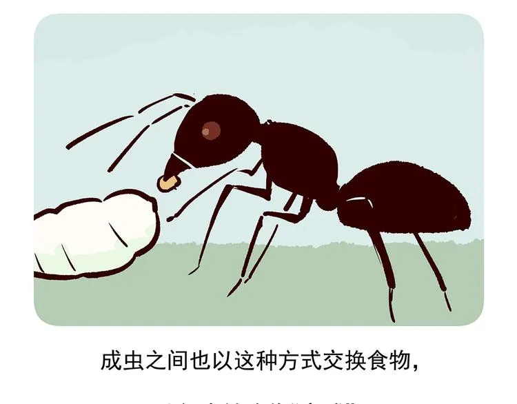 第36话 第24页