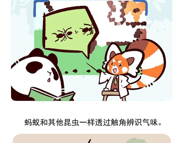 第36话 第28页