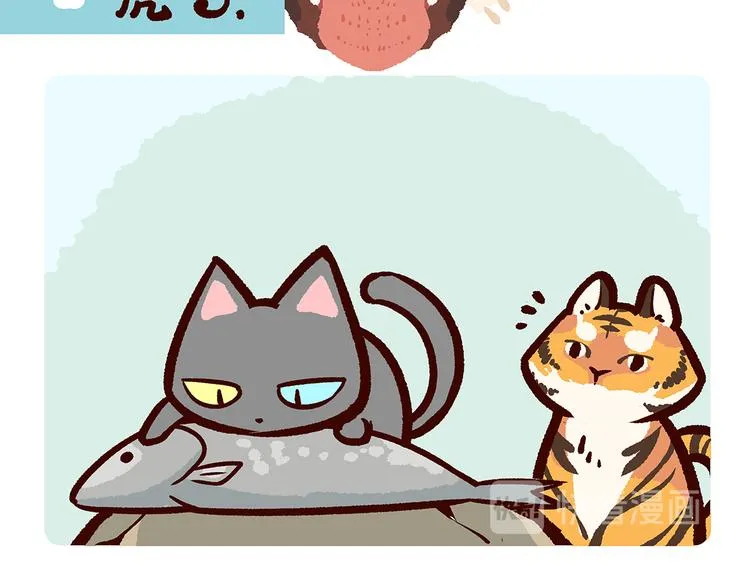 第38话 第14页