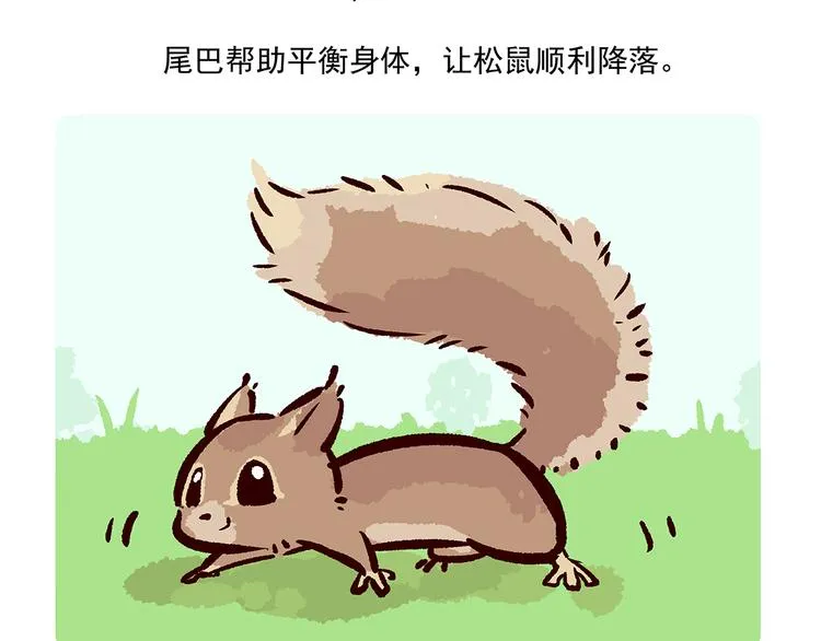 第38话 第33页