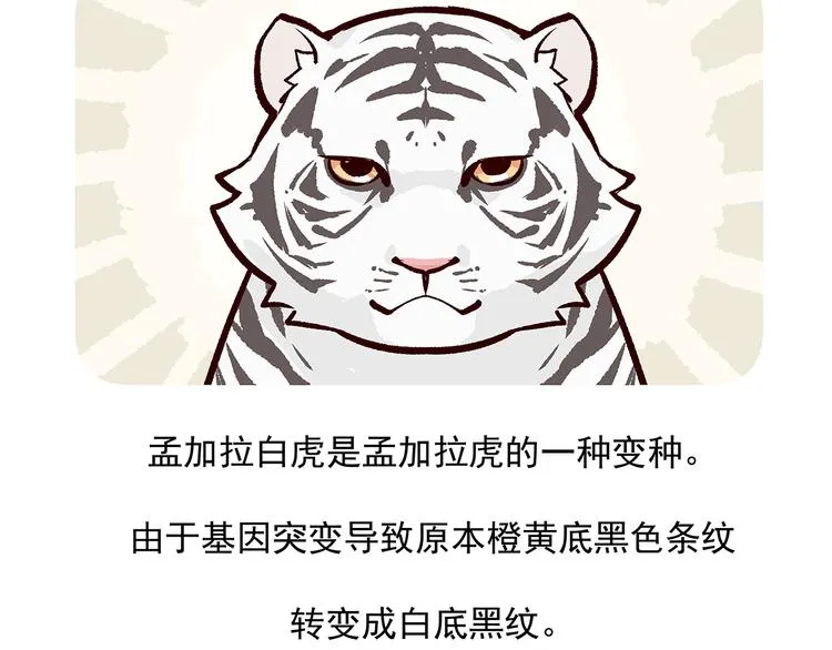 第39话 第29页