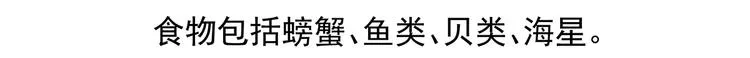 第40话 第30页