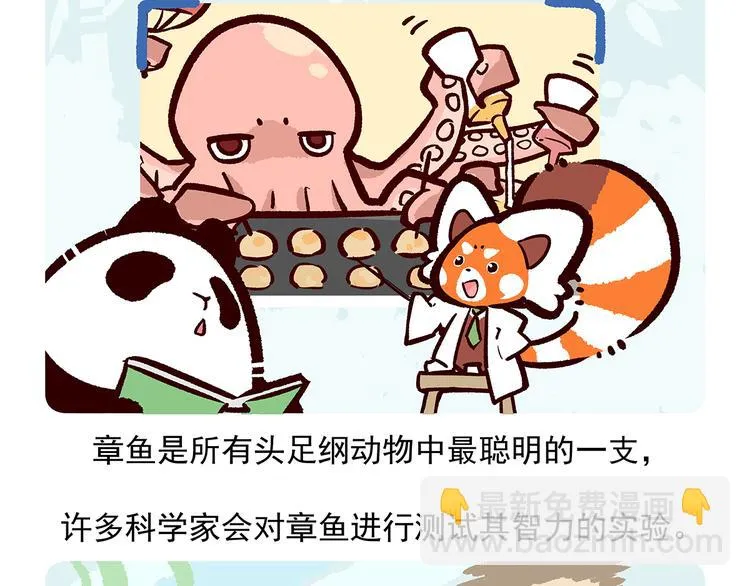 第43话 第14页