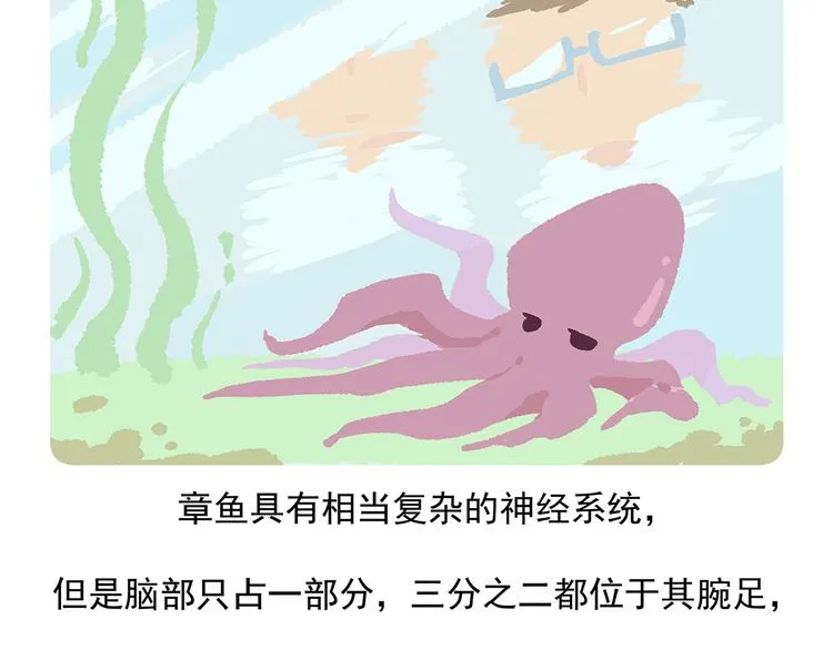 第43话 第15页