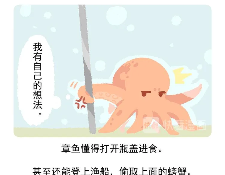 第43话 第17页