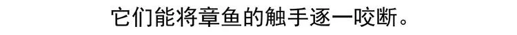 第43话 第23页