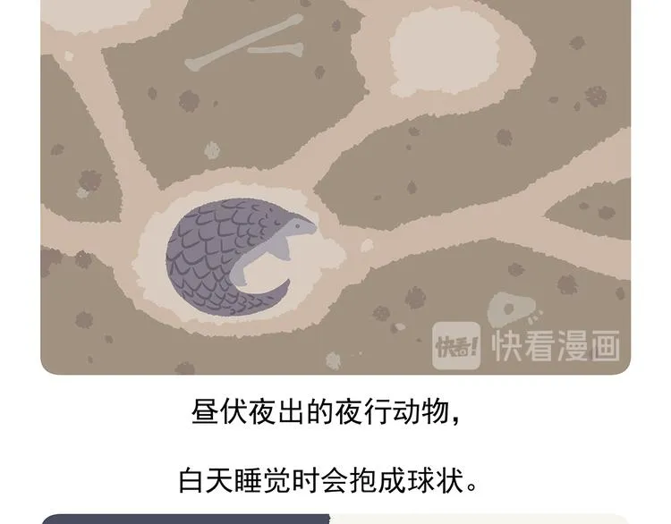 第49话 第21页