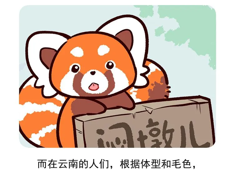 第51话 第27页