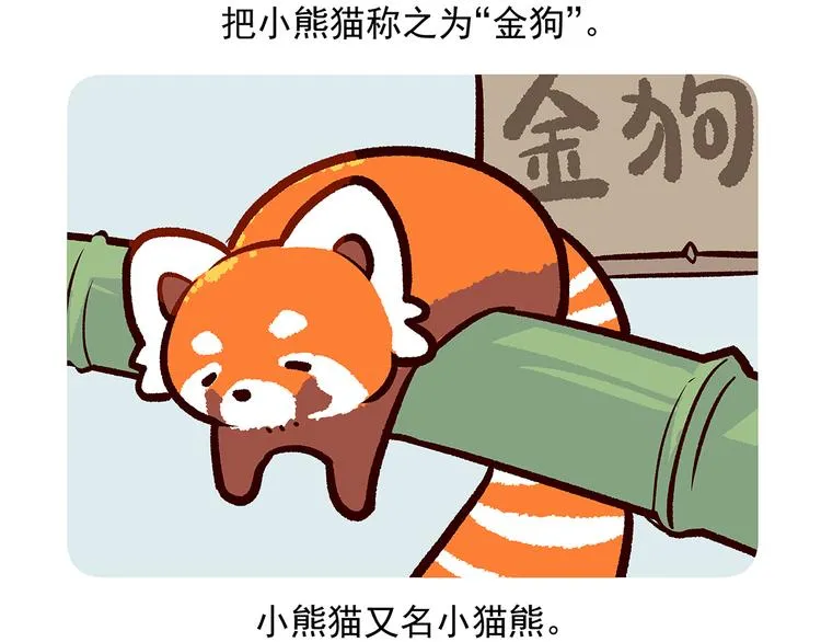 第51话 第28页