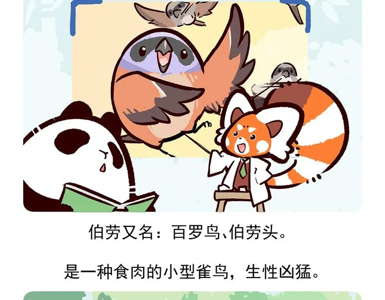 第53话 第30页