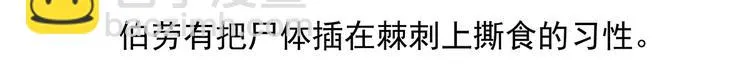 第53话 第33页