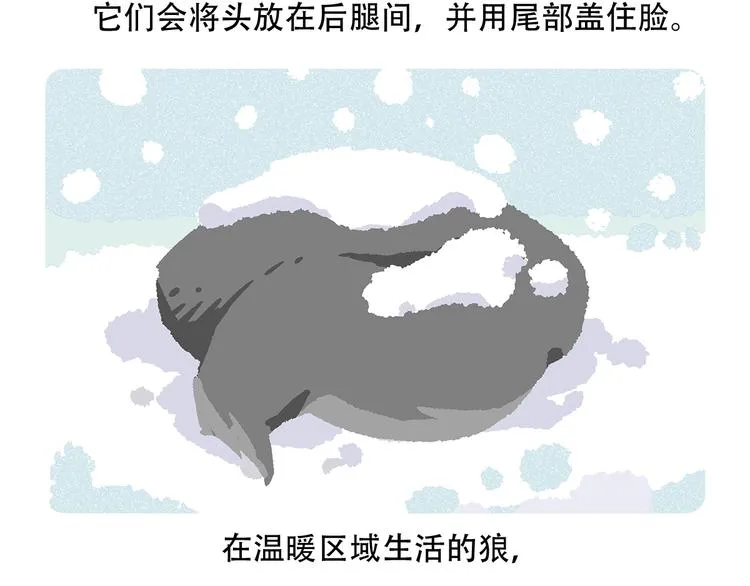 第55话 第16页