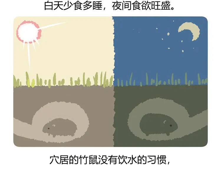 第56话 第28页
