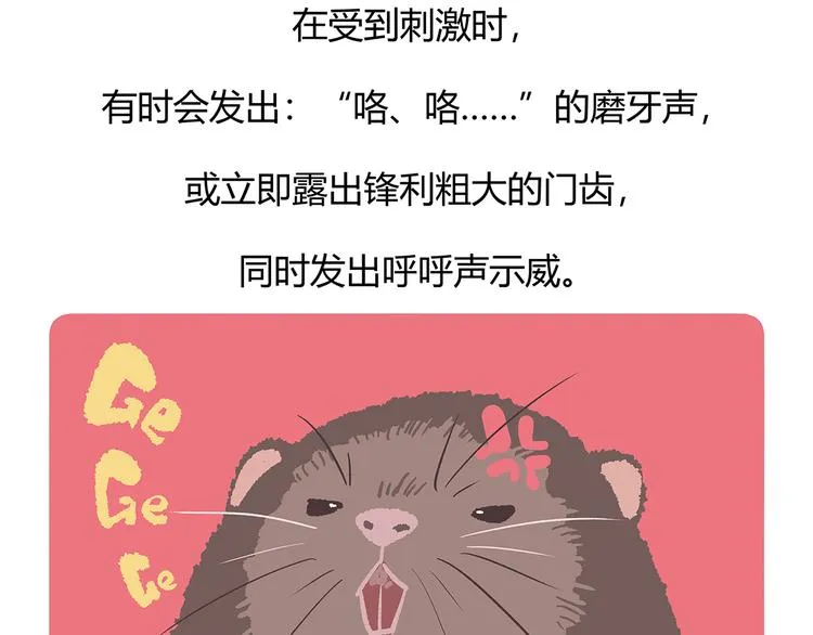 第56话 第30页