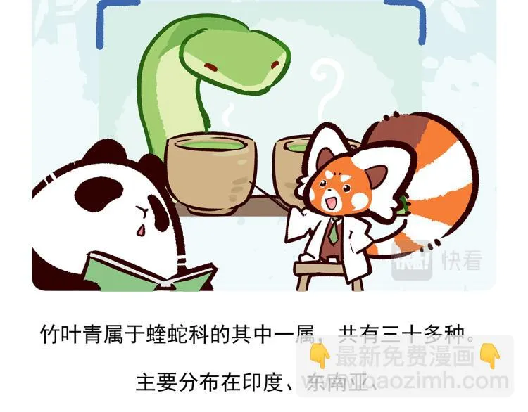 第74话 第20页