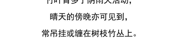 第74话 第22页