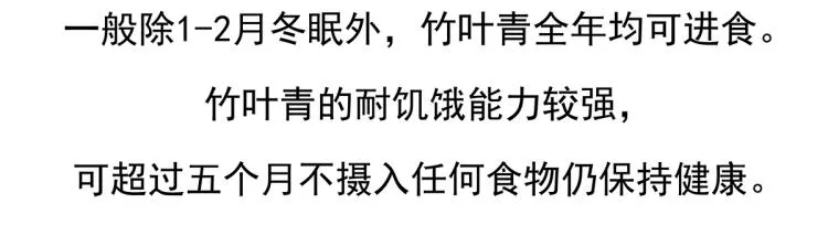 第74话 第30页