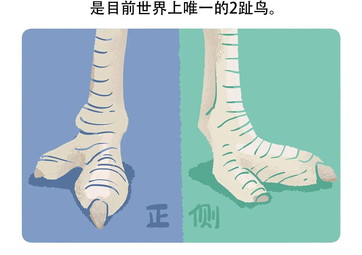 第102话 第22页