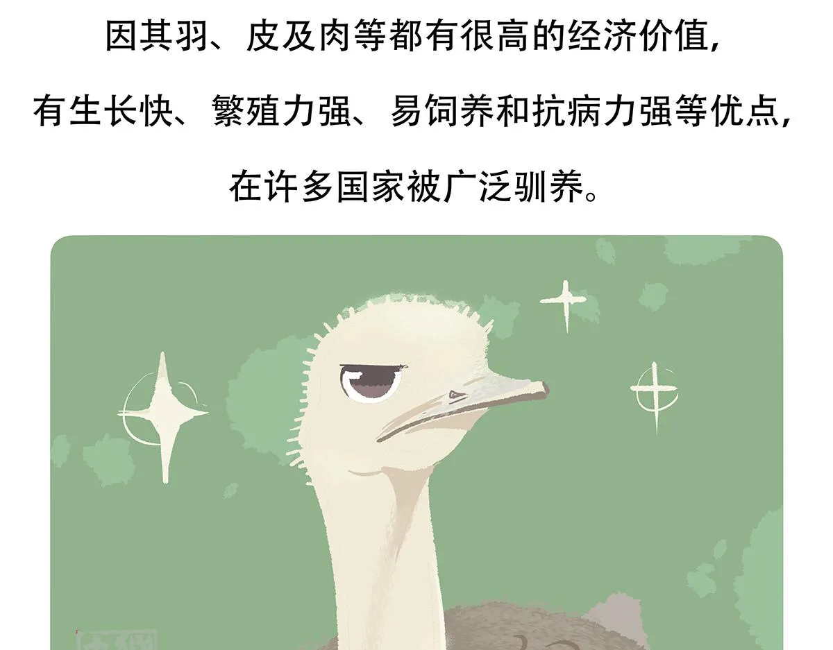 第102话 第23页