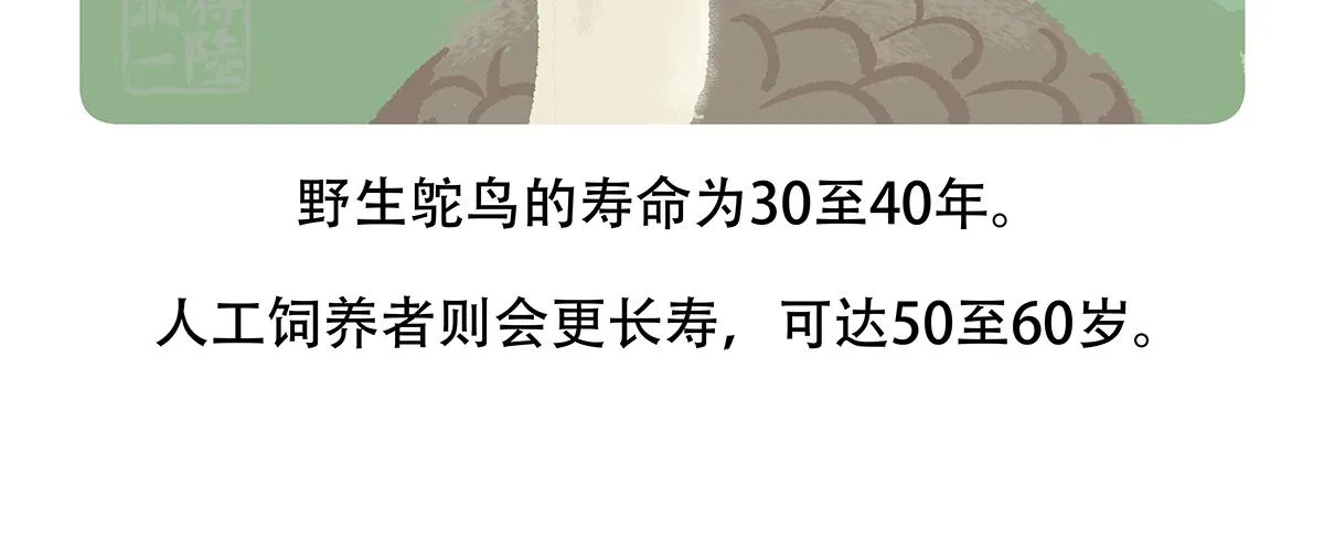 第102话 第24页