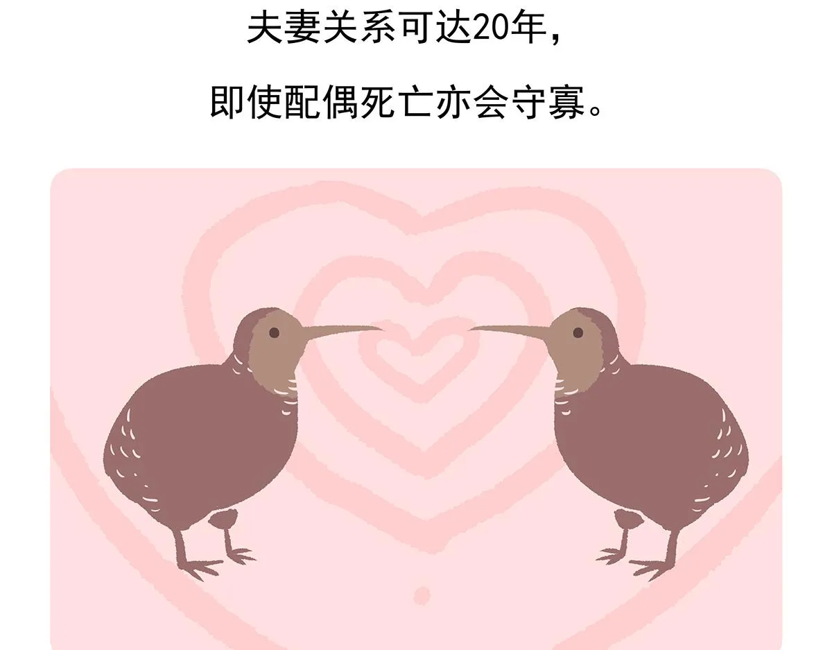 第102话 第27页