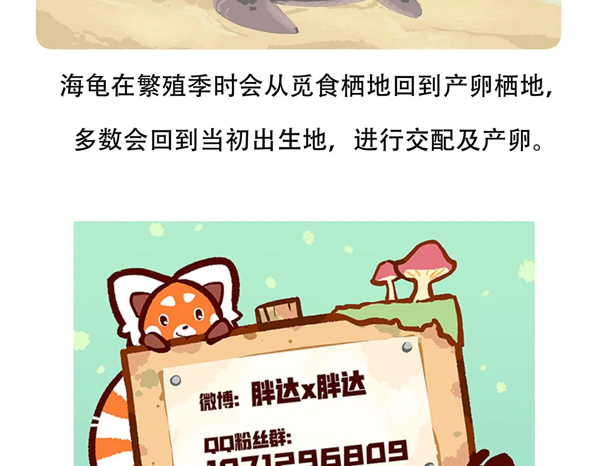 第108话 第31页