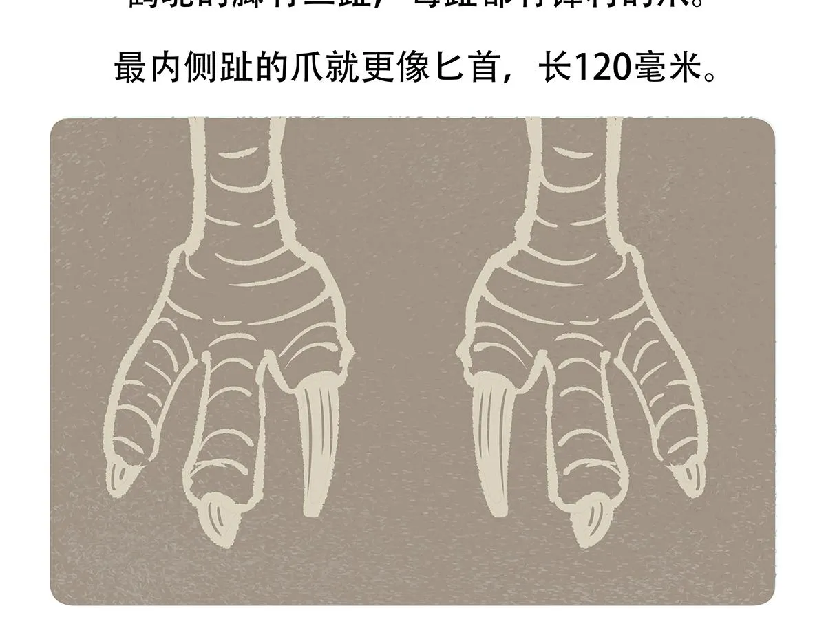第107话 第28页