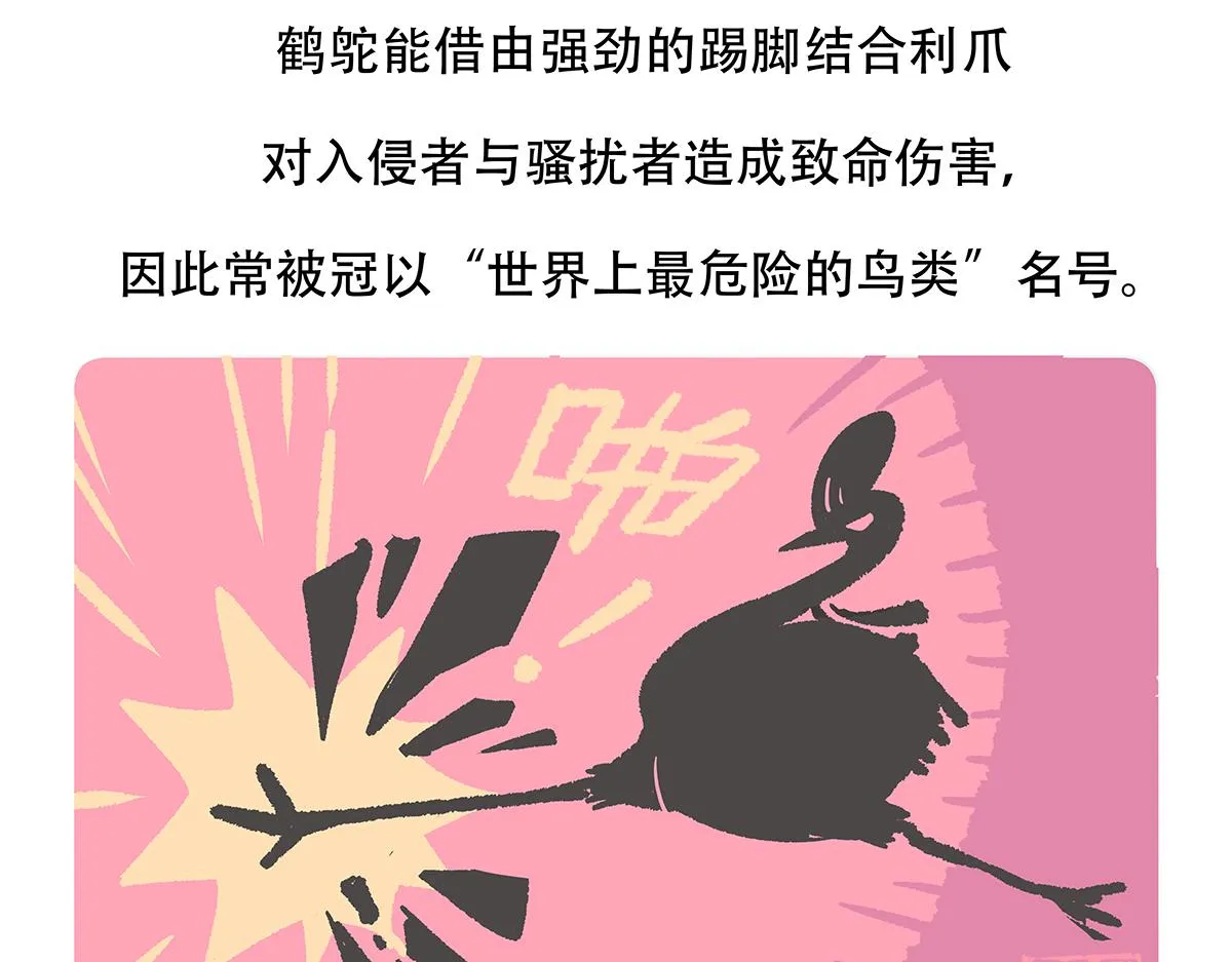 第107话 第29页