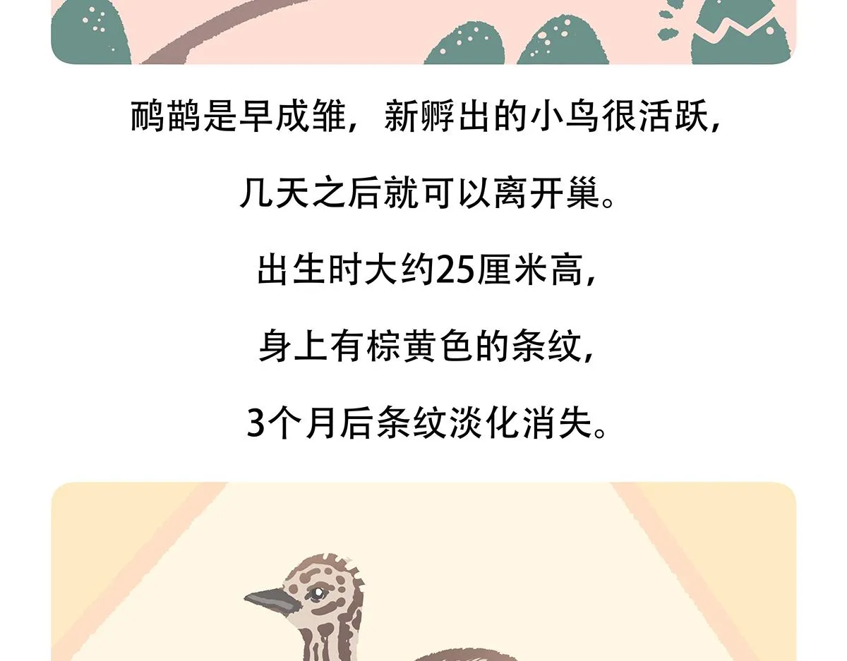 第106话 第24页