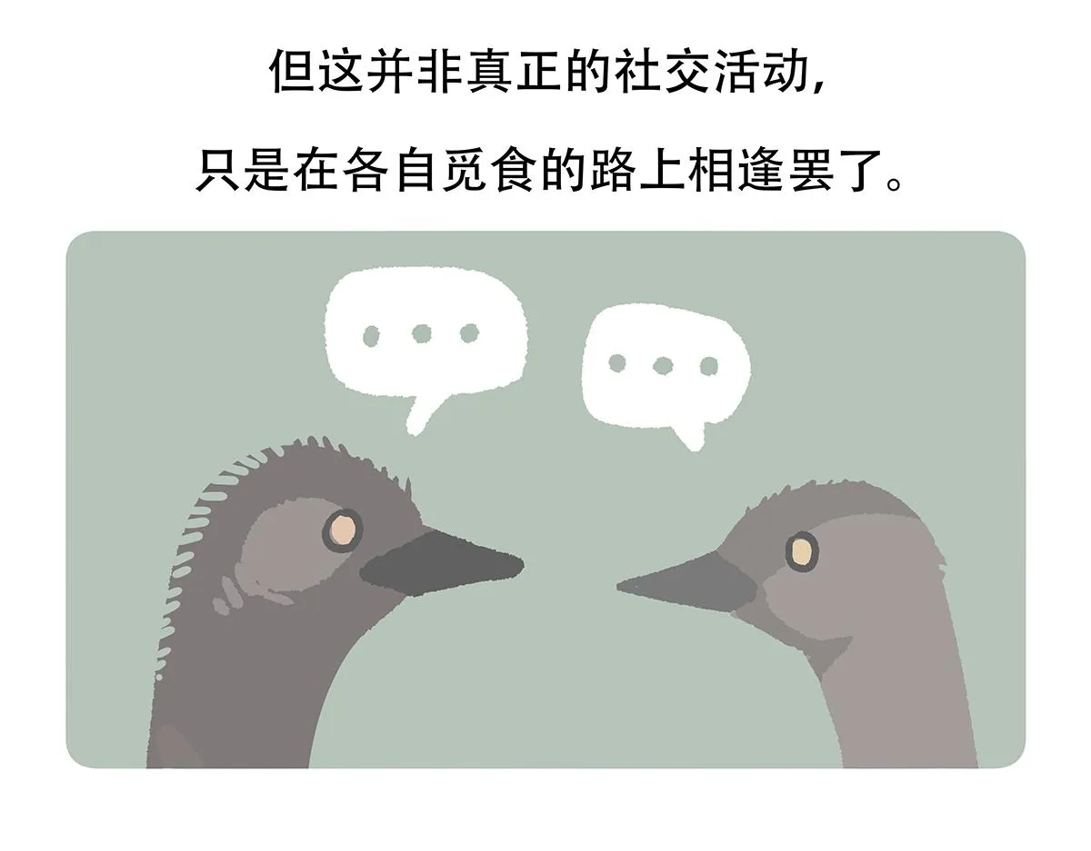 第105话 第24页