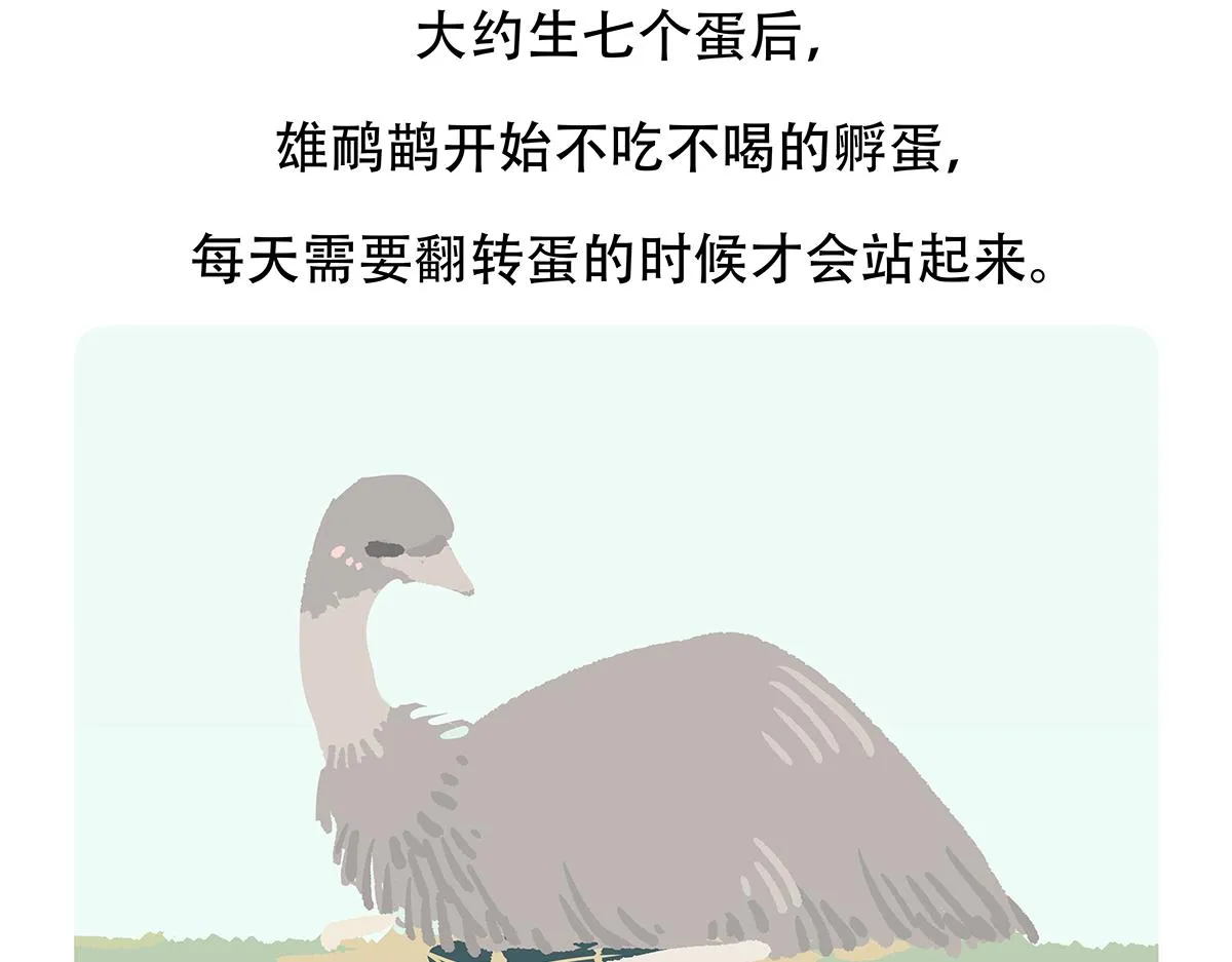 第105话 第29页
