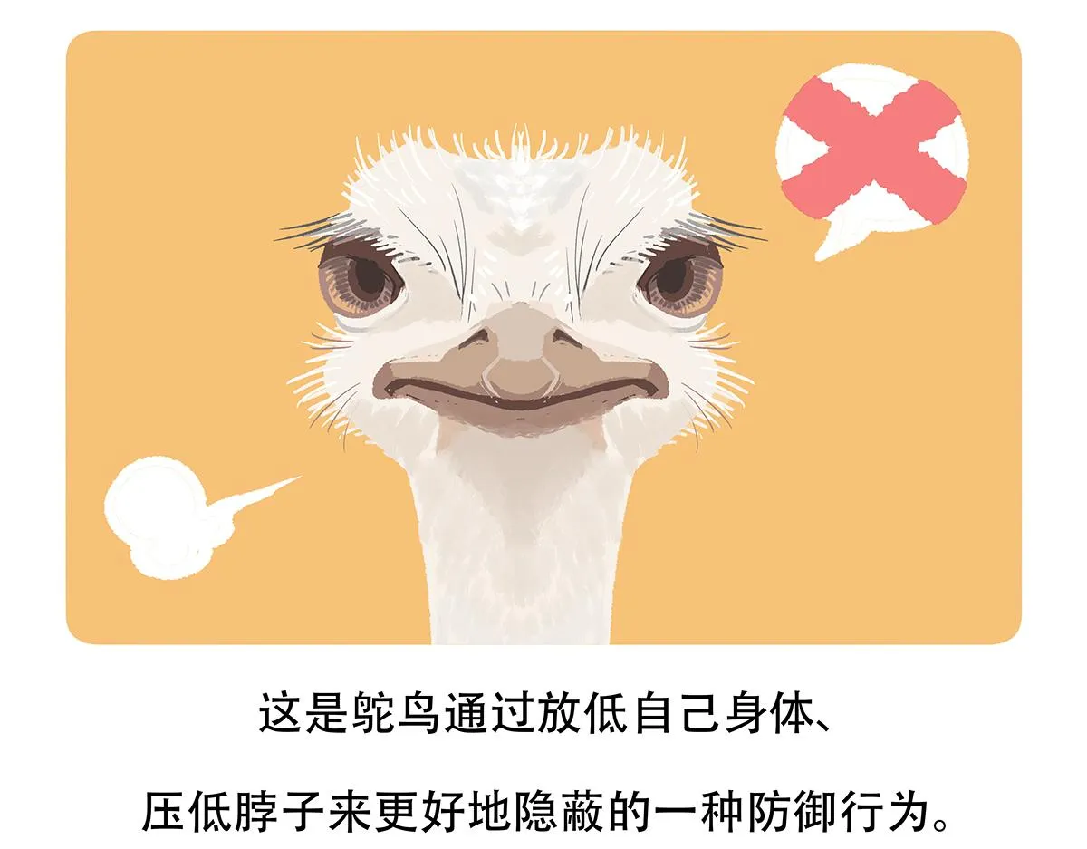 第104话 第23页