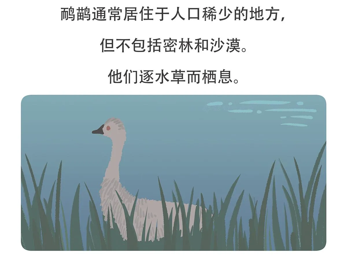 第104话 第29页