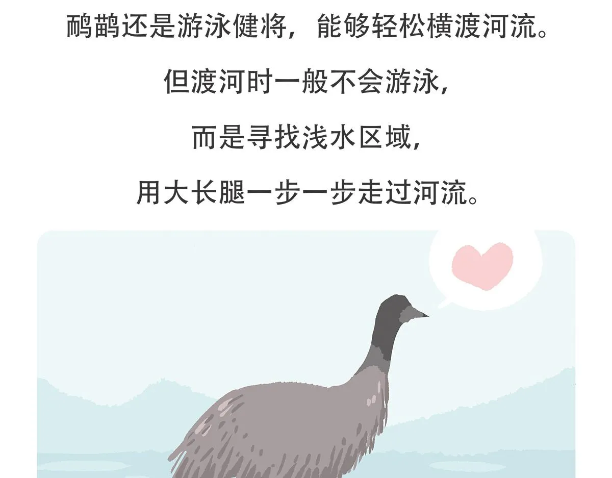 第104话 第30页