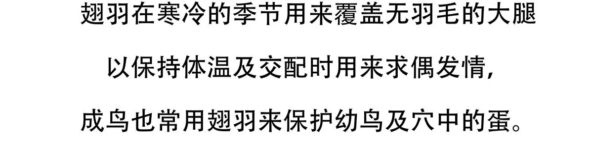第103话 第22页
