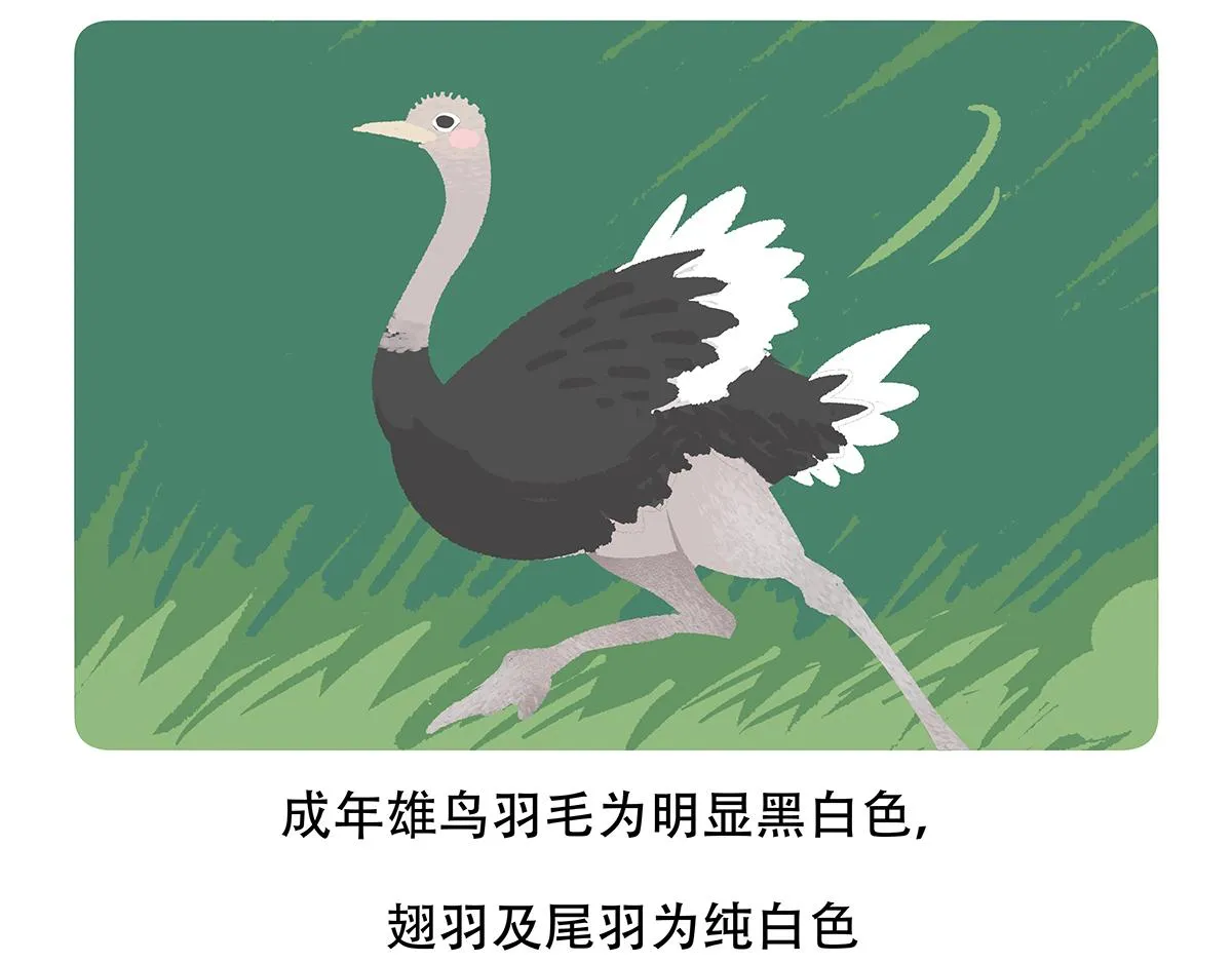 第103话 第23页