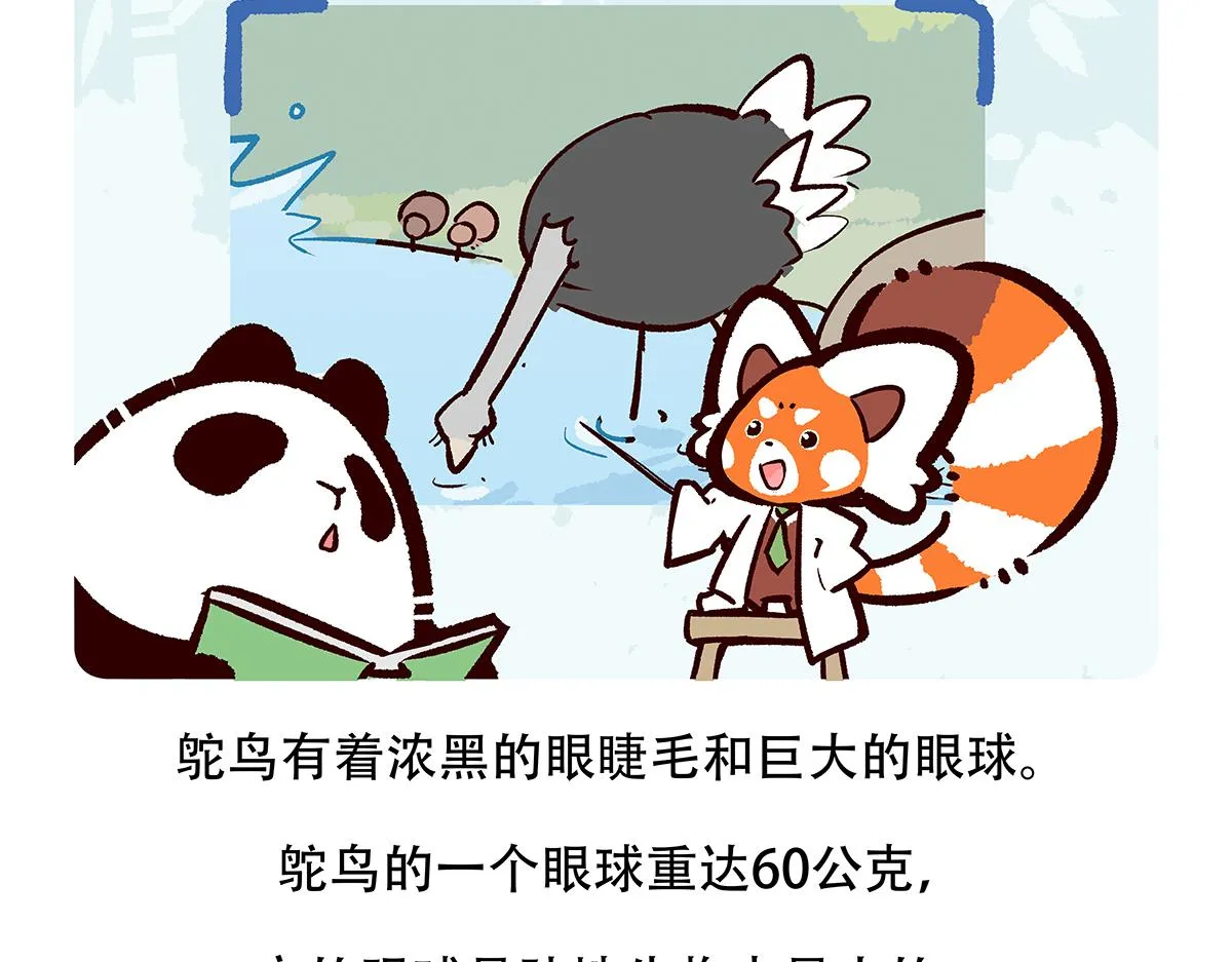 第103话 第27页