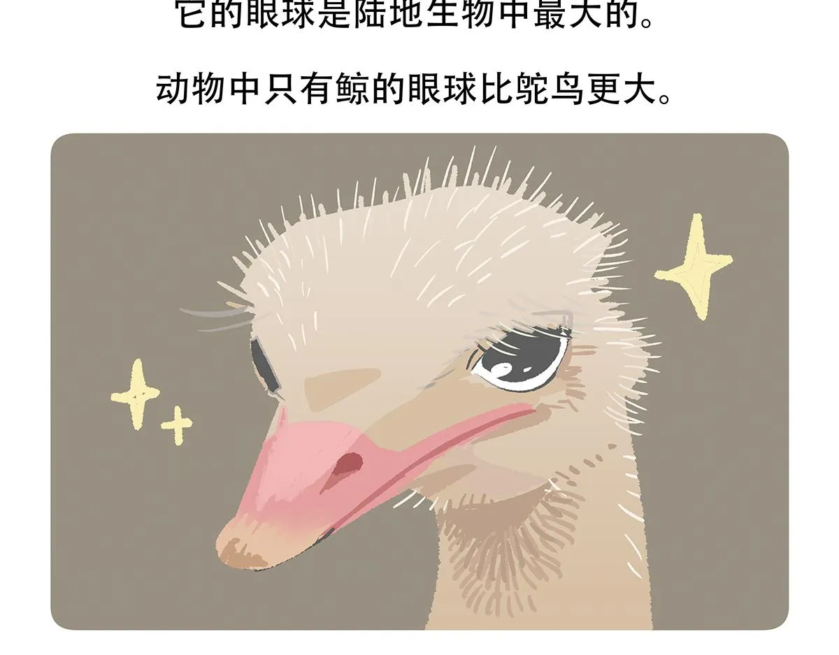 第103话 第28页