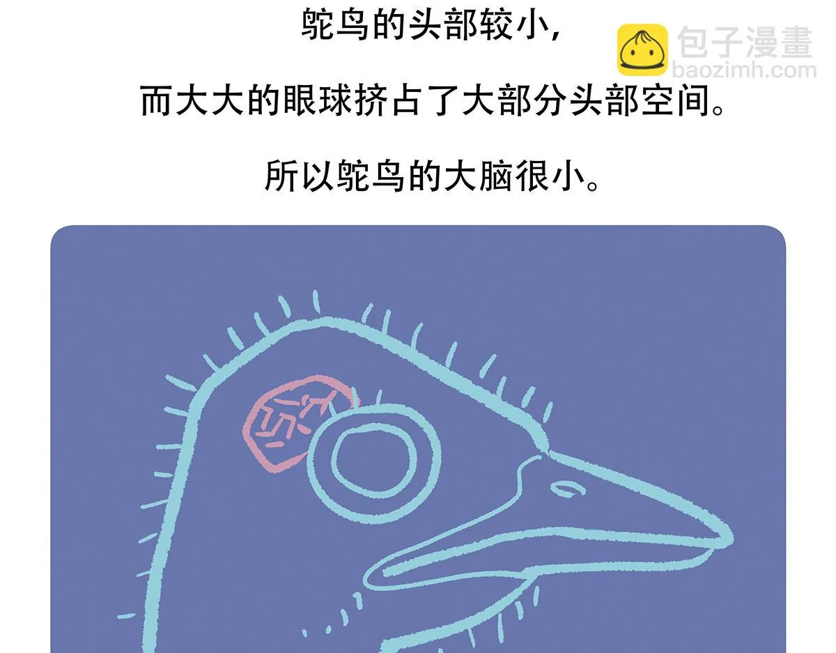 第103话 第29页