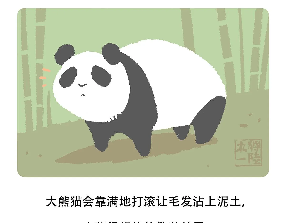 第117话 第27页