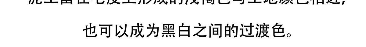 第117话 第29页