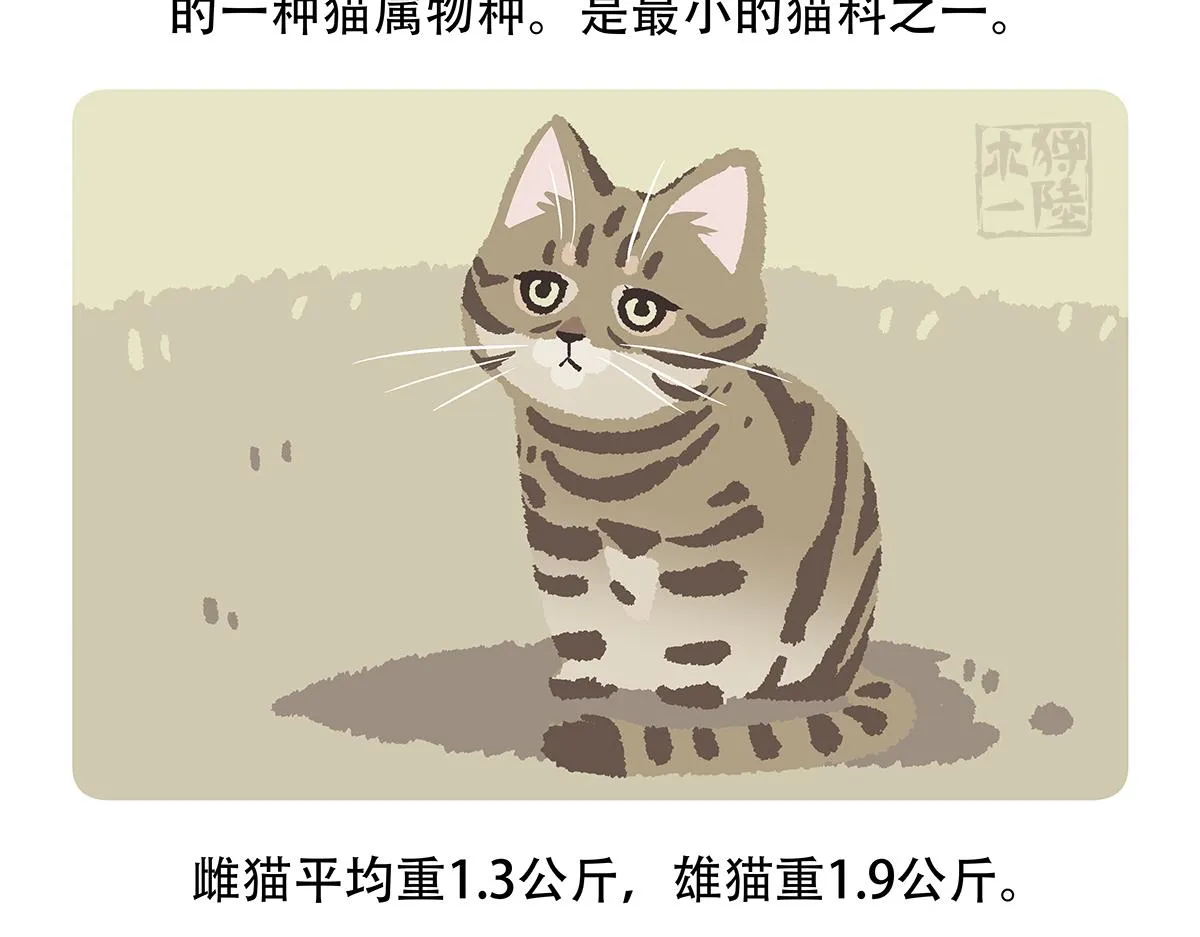 第116话 第25页