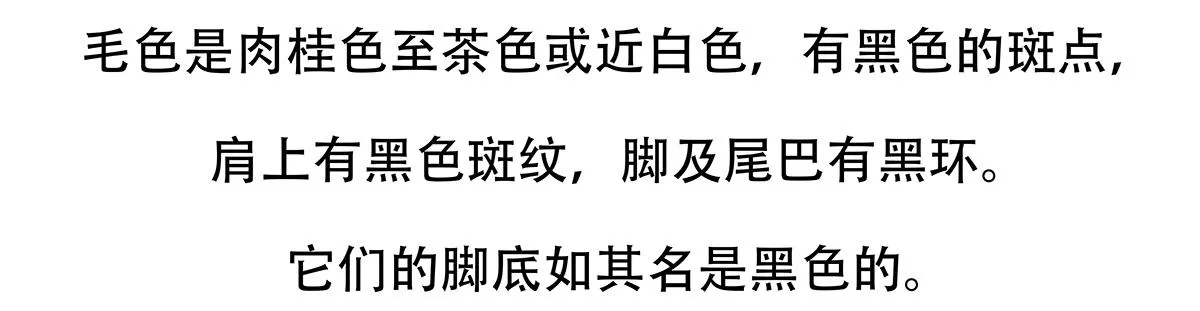 第116话 第26页