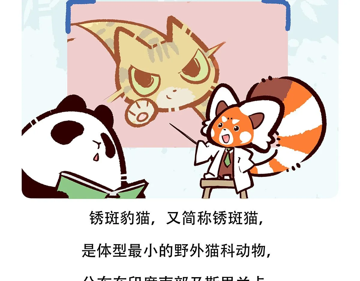 第116话 第31页