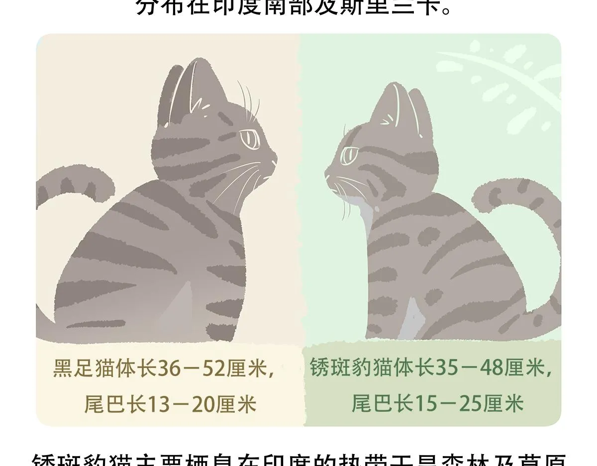 第116话 第32页