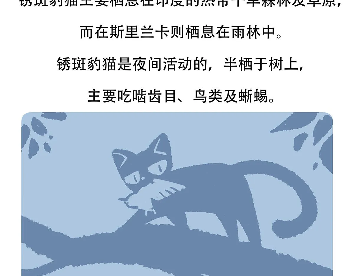 第116话 第33页