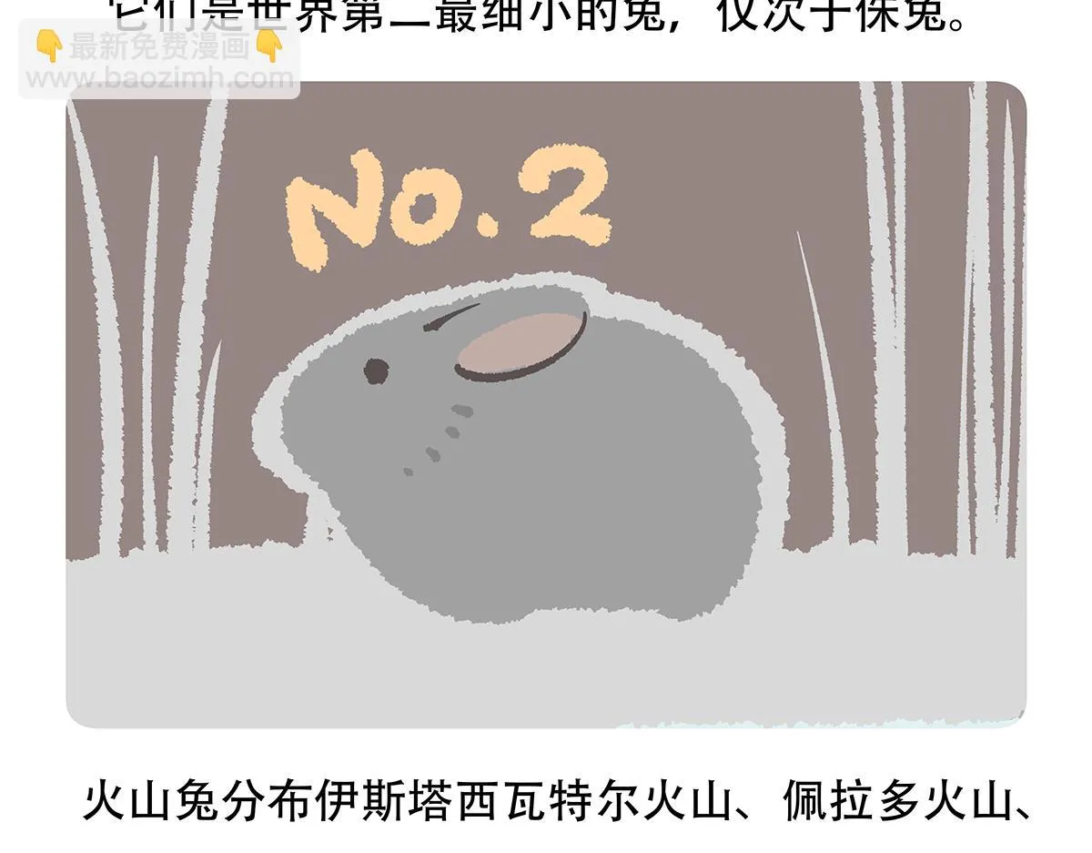 第115话 第21页