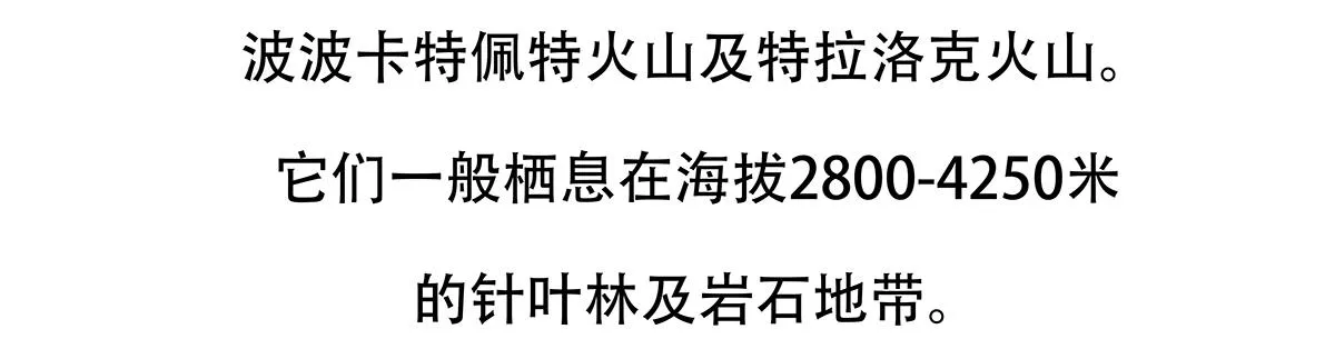 第115话 第22页
