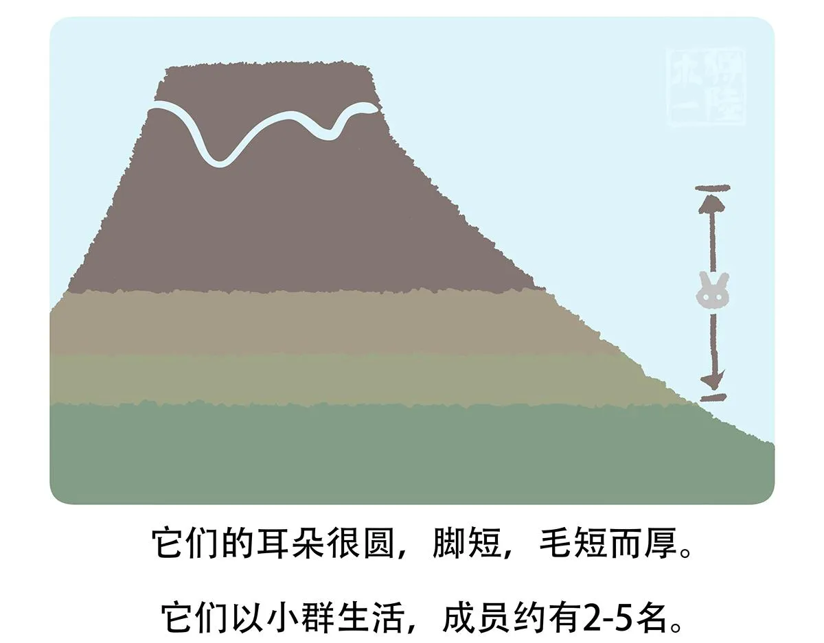 第115话 第23页